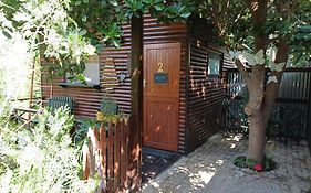 Owl'S Den 2
